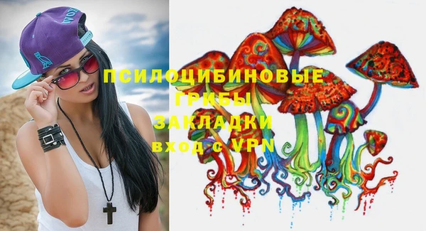 гидра Богородск