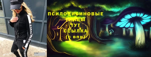 ALPHA PVP Белокуриха