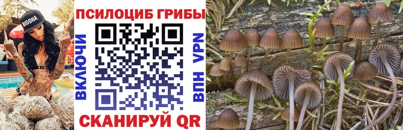 Псилоцибиновые грибы мухоморы  сколько стоит  Вельск 